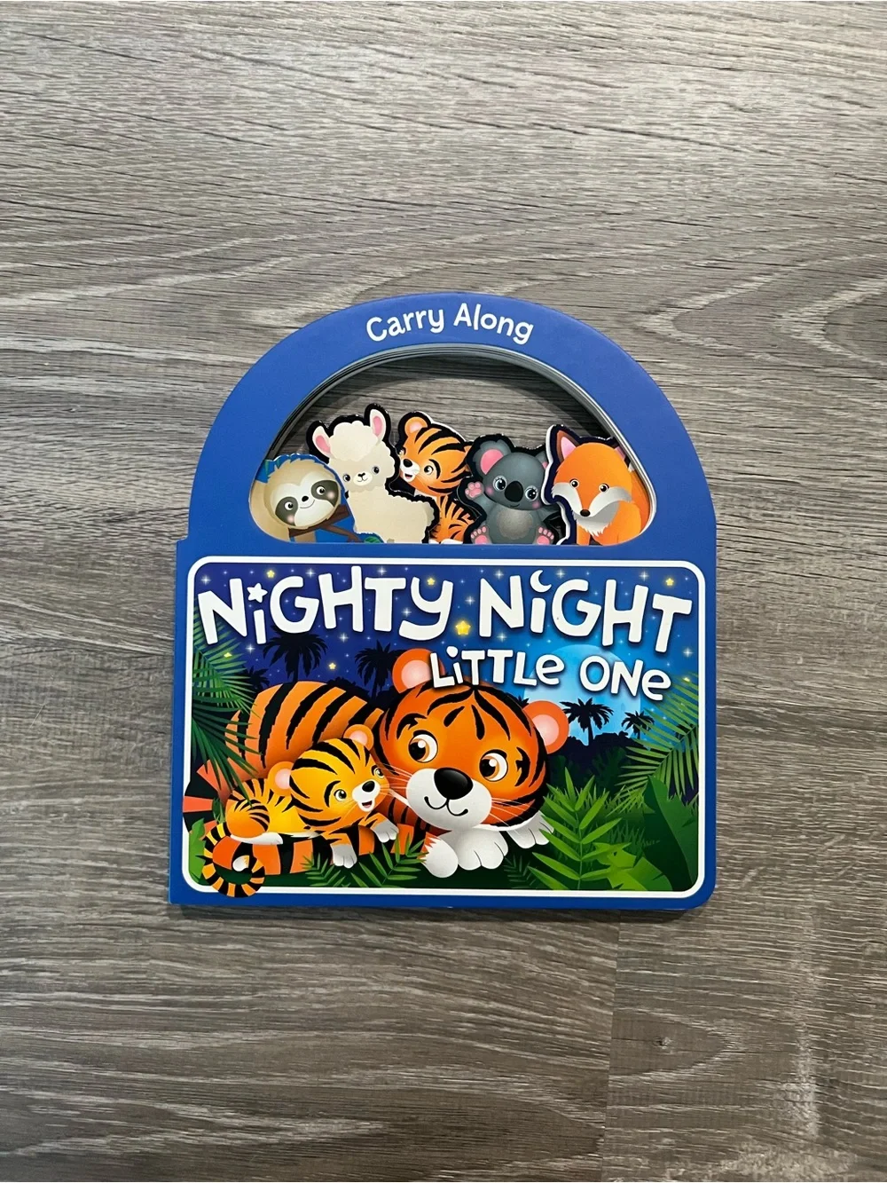 Nighty Night Little One Carry-Along Board Book